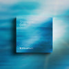 Shoreline Drift Wipe & Fill Transitions